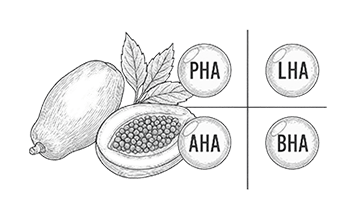 Enzima papaína y AHA BHA PHA LHA