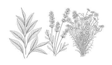 Extractos botánicos de té verde, lavanda y manzanilla